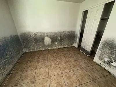 Restoration Services
